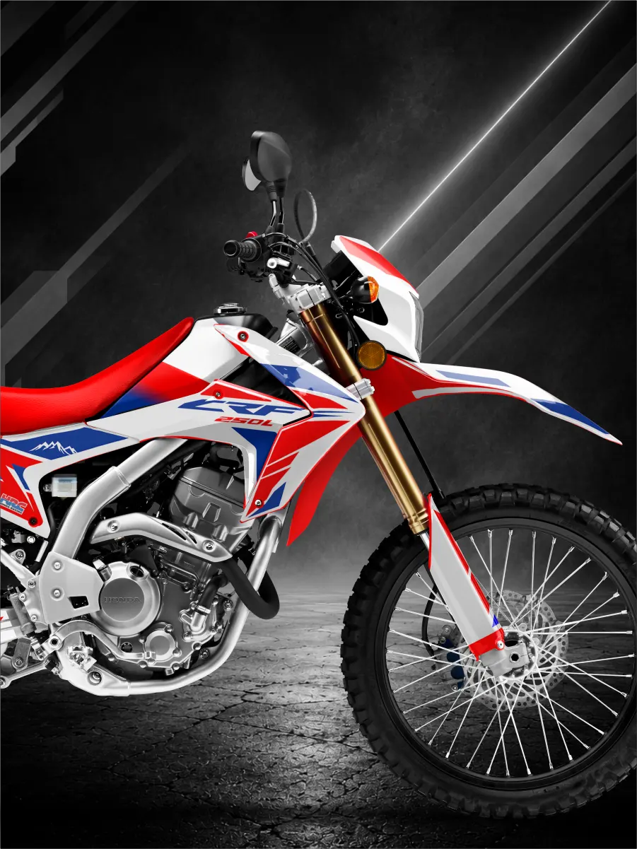 Stickers para Honda Crf300L 2016 - MotoGraphix