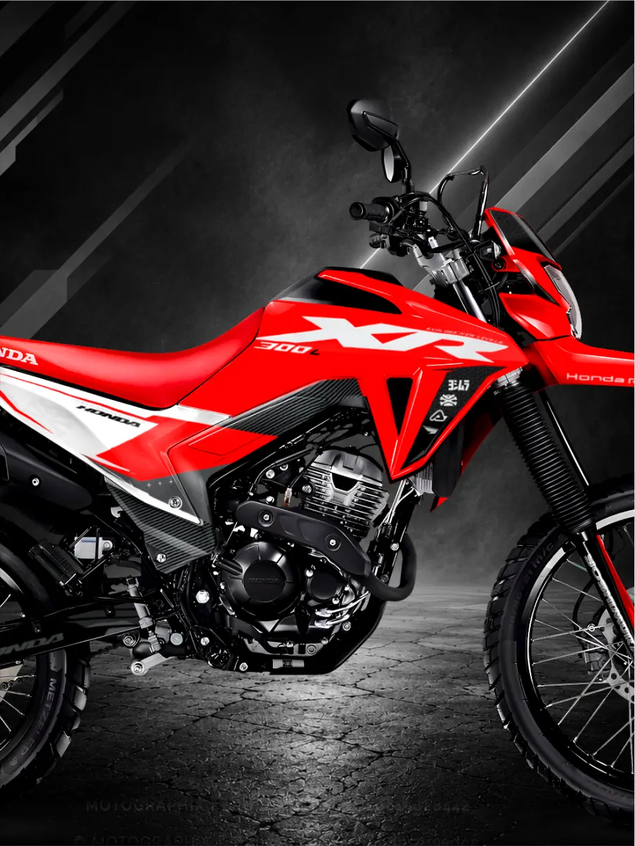 Stickers para Honda Tornado300 - MotoGraphix